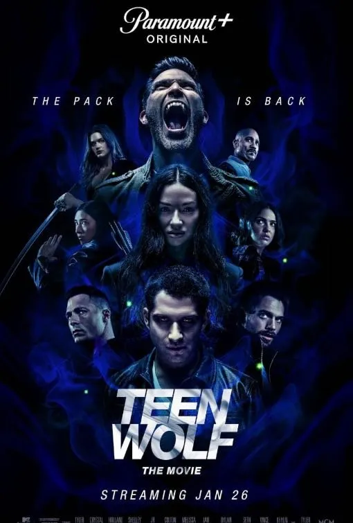 Movie and series artwork in the PioneerSTV library 7